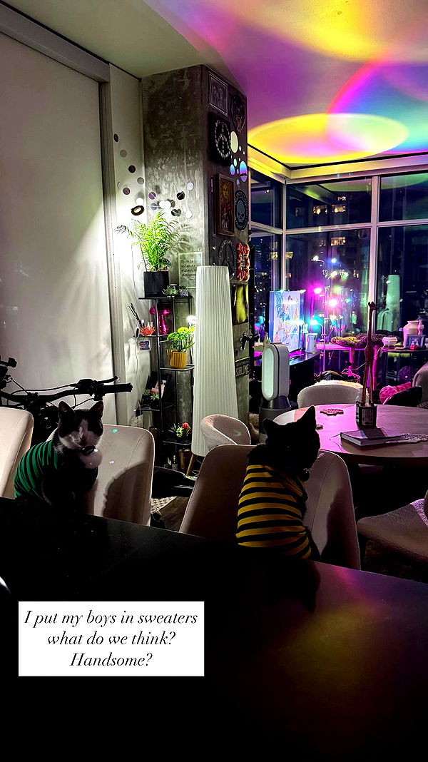 tatum.ricee archive video preview