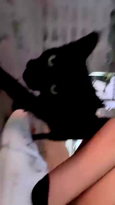 oqr0_ oqr0_ archive video