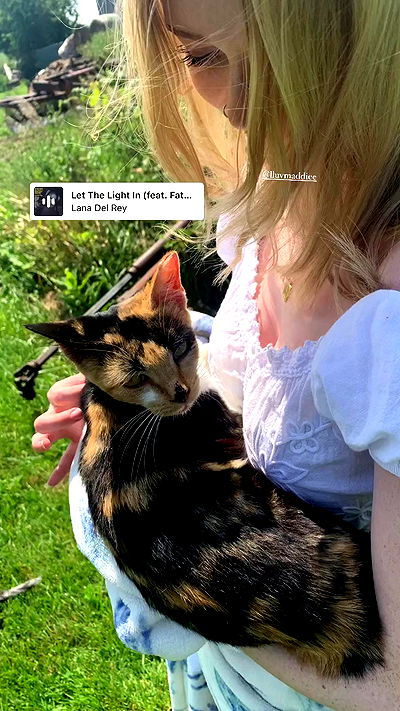 9bitez 9bitez archive video