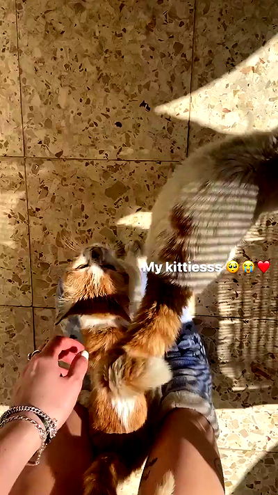 _femalien _femalien archive video