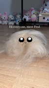 candy_balll Altpins Profile Picture