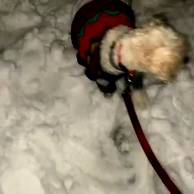 feelbetterinmysweater feelbetterinmysweater archive video