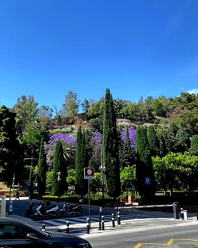 yam_adler yam_adler archive video