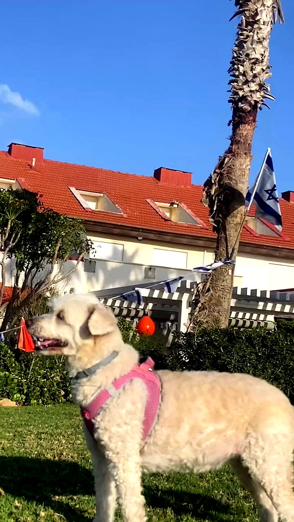 feelbetterinmysweater archive video preview