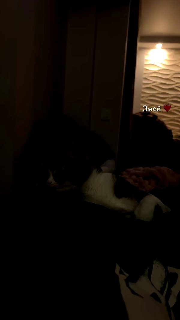 tori_t96 archive video preview