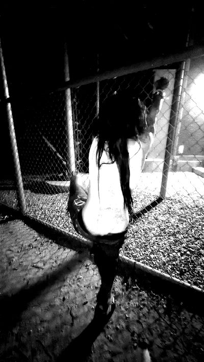 zommmbri zommmbri archive video