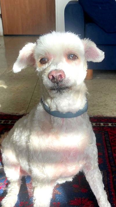 feelbetterinmysweater feelbetterinmysweater archive video