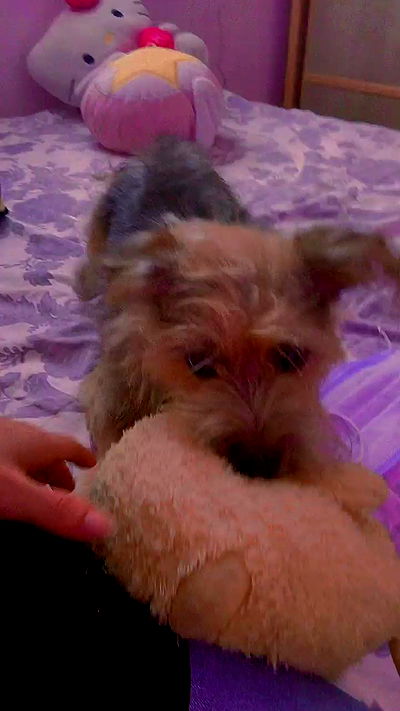 feelbetterinmysweater feelbetterinmysweater archive video