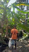 noa_mendel_ Altpins Profile Picture