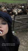 killeranarchist1 Altpins Profile Picture