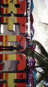romy.benshushan Altpins Profile Picture