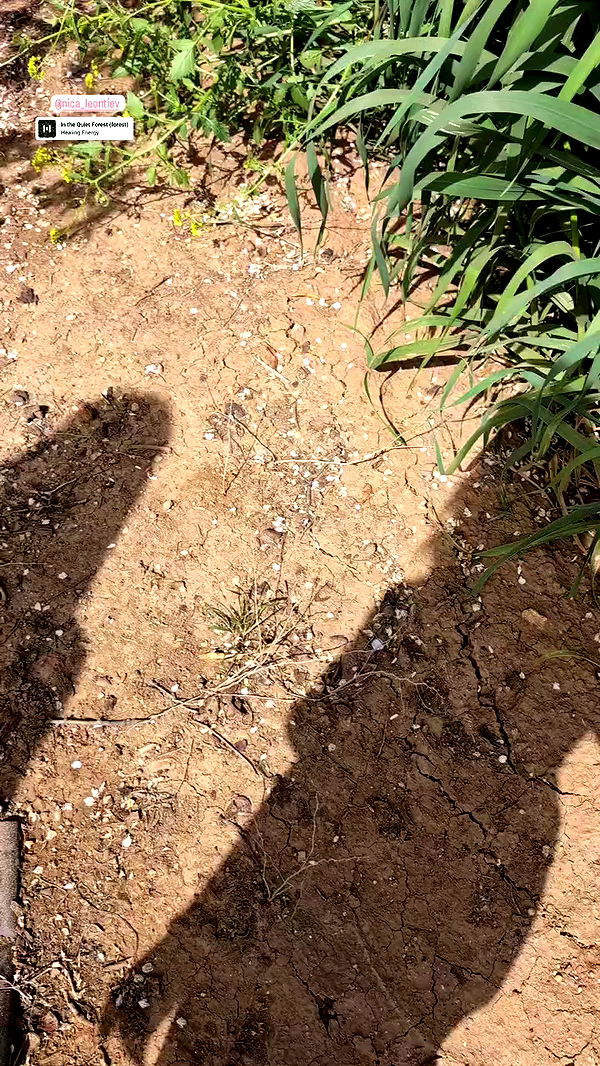 tinapavlov.sky archive video preview