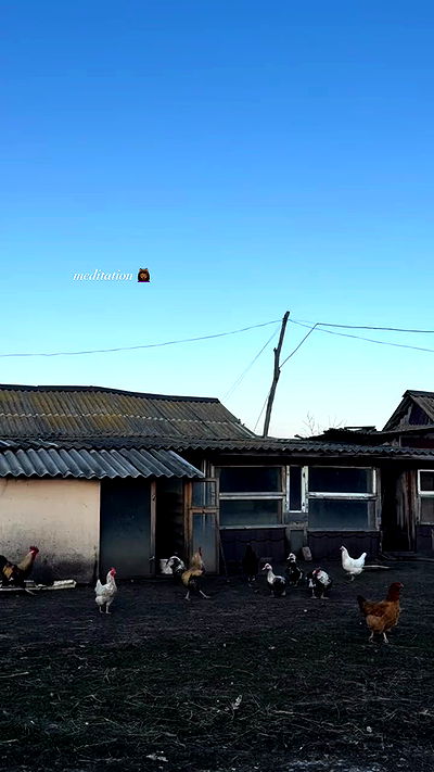 nyityam nyityam archive video