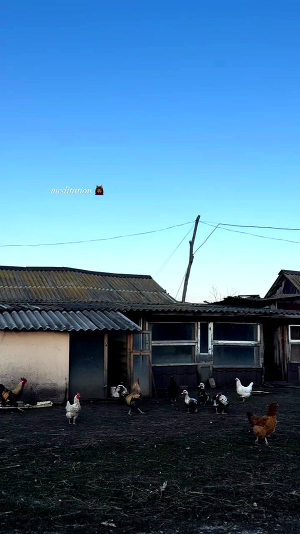 nyityam archive video preview