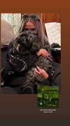 oonaghkittieee Altpins Profile Picture