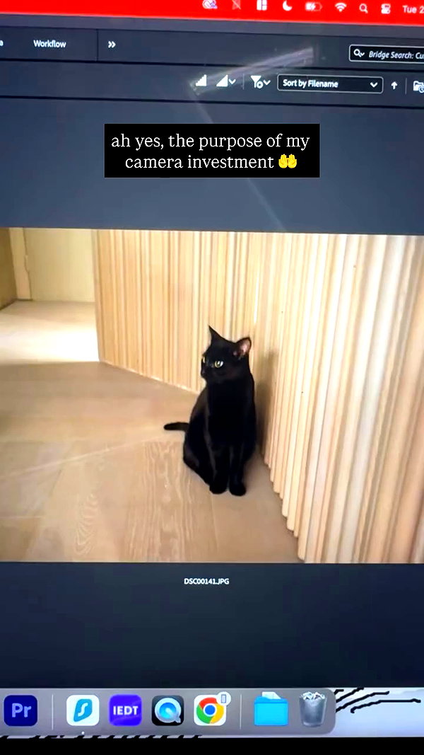 lyracr0w0 archive video preview