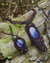 sacred.soul.creations Altpins Profile Picture