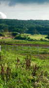 sonya_fisher_ Altpins Profile Picture