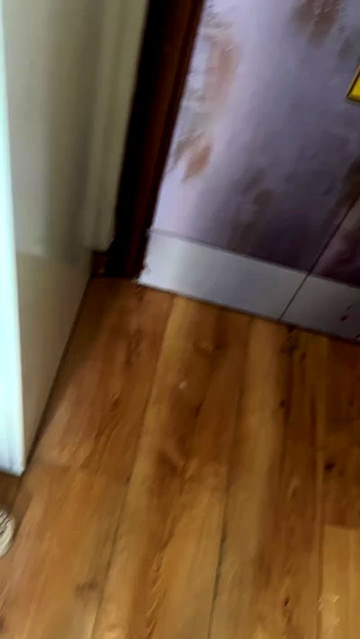 _wizardmidget_ _wizardmidget_ archive video