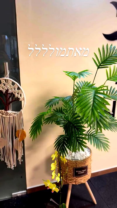 liad.arazi liad.arazi archive video