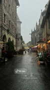 wdmp00_ Altpins Profile Picture