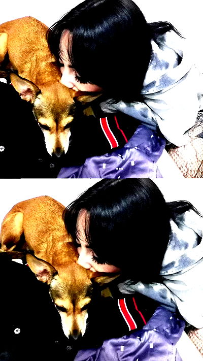 dustheadd dustheadd archive video