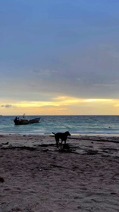 kesemgreenyer kesemgreenyer archive video