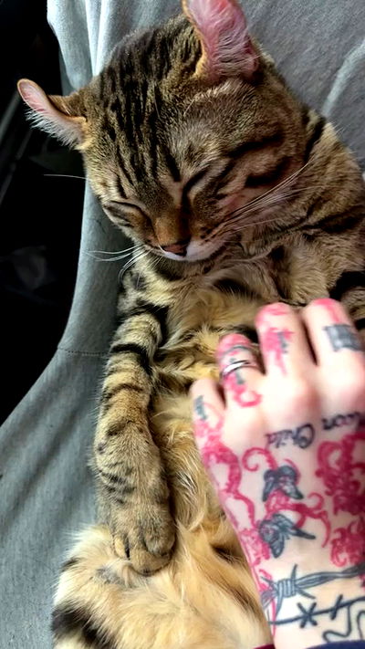 laurinchhhe laurinchhhe archive video