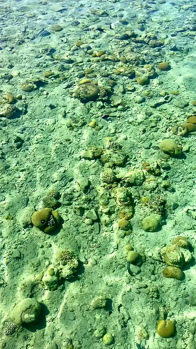 g.a.l.1.a g.a.l.1.a archive video