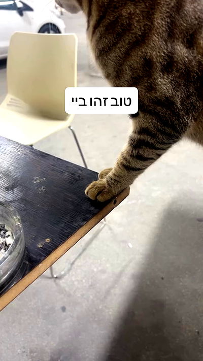 laluzone laluzone archive video