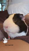 la.vica_ Altpins Profile Picture