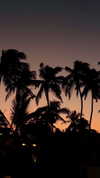 noa_mendel_ Altpins Profile Picture