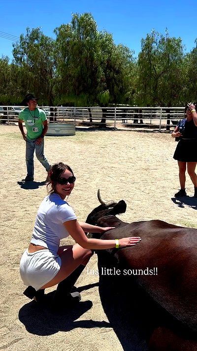 sophiemudd sophiemudd archive video