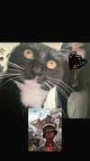 vampiryska Altpins Profile Picture