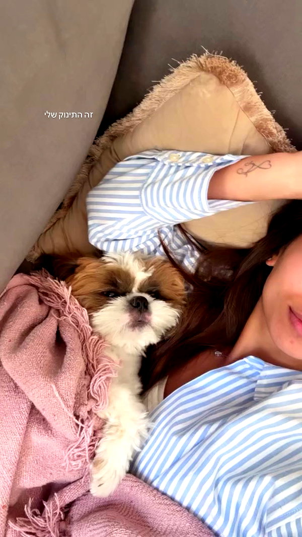 noammalka___ archive video preview