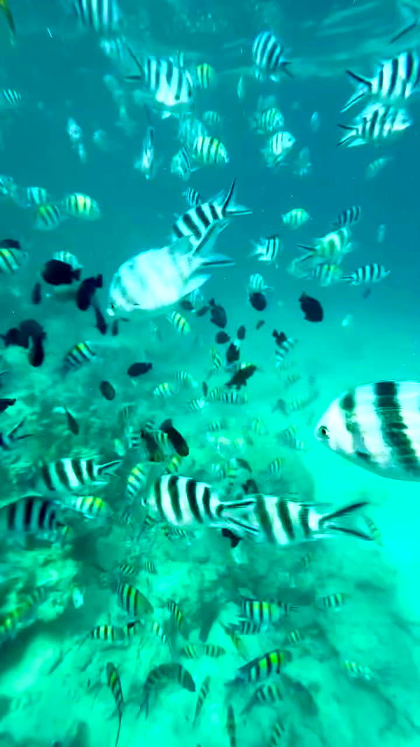 noa_mendel_ archive video preview