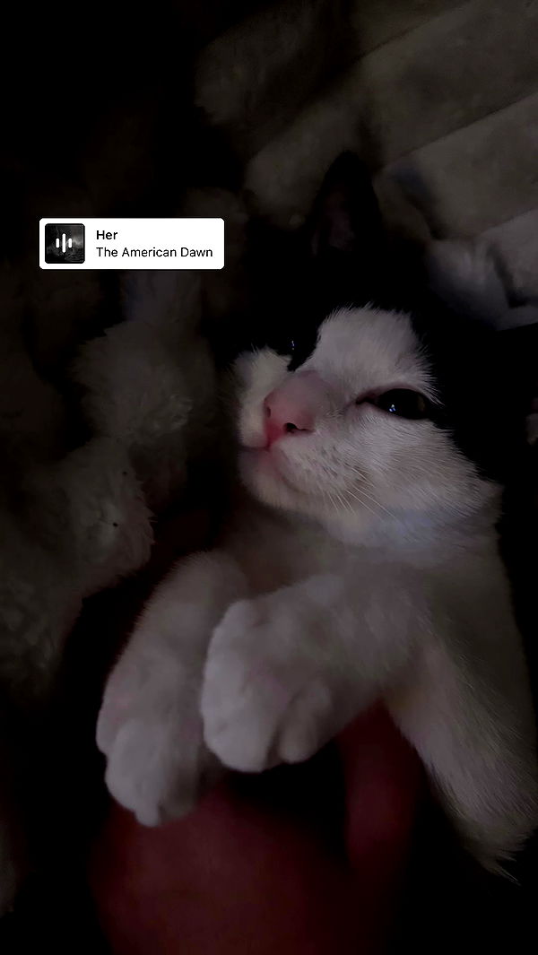 6nattynat9 archive video preview