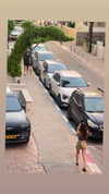 lotembar Altpins Profile Picture