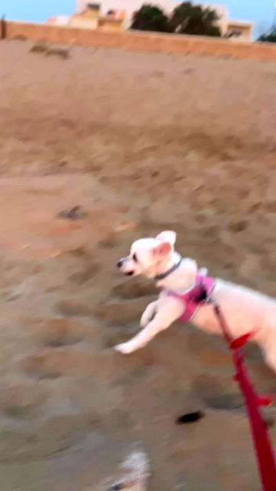 feelbetterinmysweater feelbetterinmysweater archive video