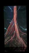 sonya_fisher_ Altpins Profile Picture