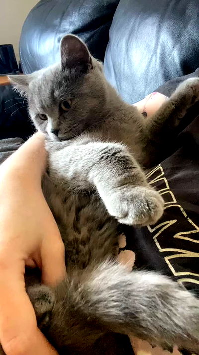 yoo.mon yoo.mon archive video