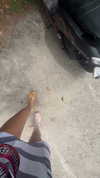 yumisback17 Altpins Profile Picture