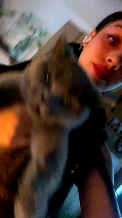 hanabellask8 hanabellask8 archive video