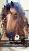 kalogerassunday Altpins Profile Picture