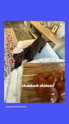 emily_new2 Altpins Profile Picture