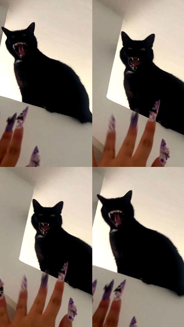 hellokittyangel666 archive video preview