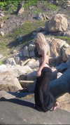 quitmell Altpins Profile Picture