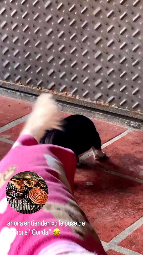martinadoglioli archive video preview