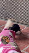 martinadoglioli Altpins Profile Picture