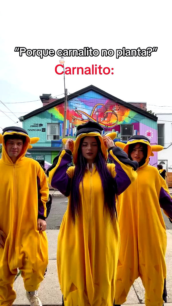 julieta.allegretti archive video preview